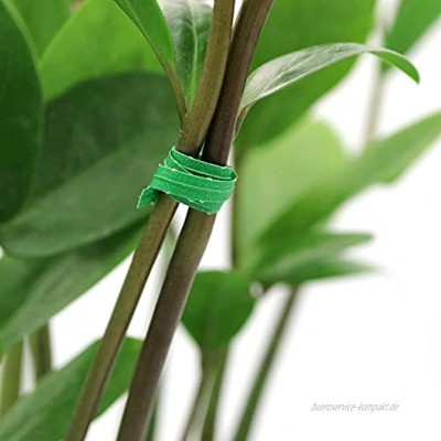 KINGLAKE 200 Stück 10 cm Twist Pflanzenbinder aus Papier weiche Garten Krawatten mit Metalldraht im Inneren