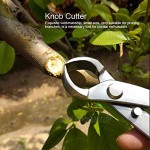 Kadimendium Knopfschneider mit ergonomischem Griff Bonsai-Werkzeuge zum Trimmen Kleiner Bonsai-Formen